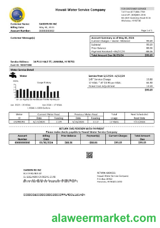 USA Hawaii Water Service Company business utility bill template in Word and PDF formats